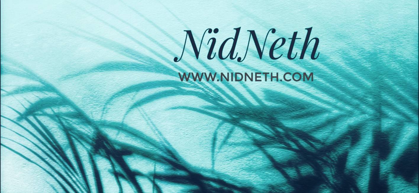 nidneth.com